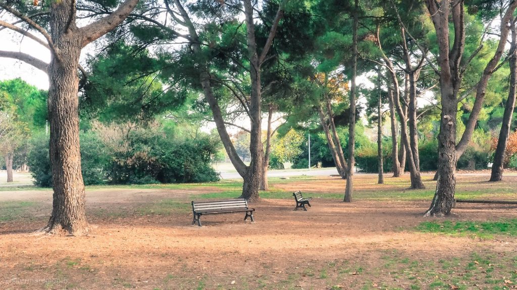 parc-montcalm-montpellier-6